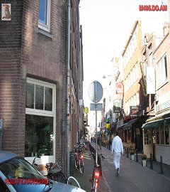 amsterdam_81