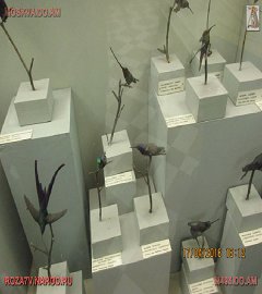 московский музей биологии_111