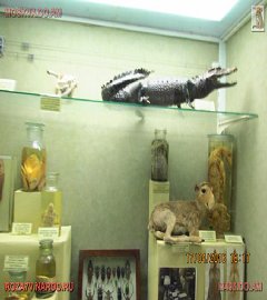 московский музей биологии_170