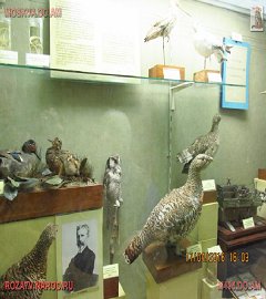 московский музей биологии_18