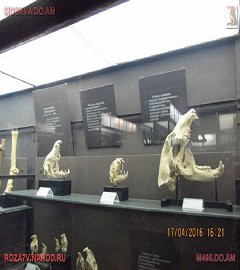 московский музей биологии_202