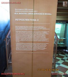 московский музей биологии_22