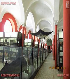 Московский музей биологии_321