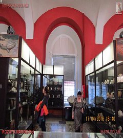 Московский музей биологии_348