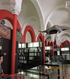 Московский музей биологии_349
