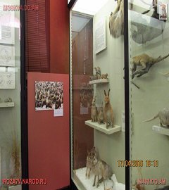Московский музей биологии_83