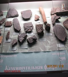 Музей геологии Москва_102