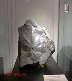 Музей геологии Москва_171