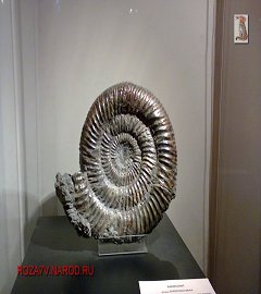 Музей геологии Москва_172