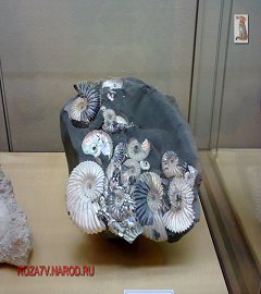 Музей геологии Москва_205