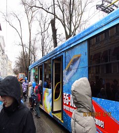 Выставка трамваев_251