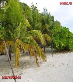Мальдивы_23