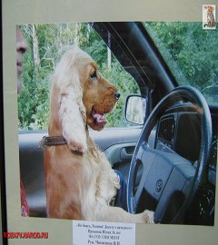 den_goroda_2008_9