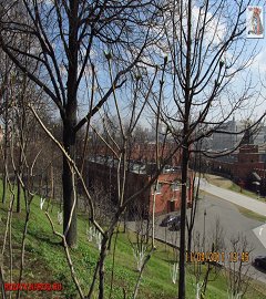 kreml_233