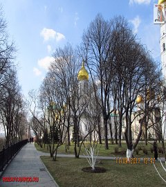 kreml_242