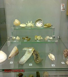 Музей геологии Москва_254