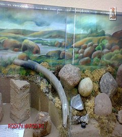 Музей геологии Москва_271