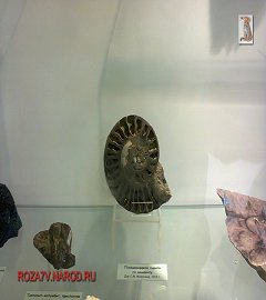 Музей геологии Москва_278