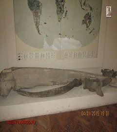 Музей геологии Москва_59