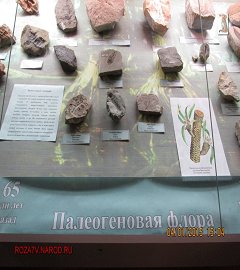 Музей геологии Москва_88