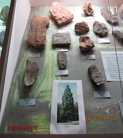 Музей геологии Москва_89