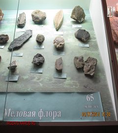 Музей геологии Москва_90