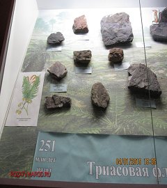 Музей геологии Москва_96