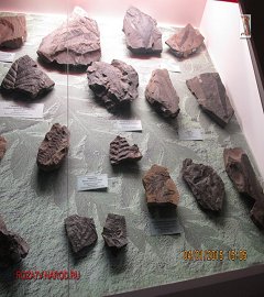 Музей геологии Москва_97