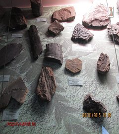 Музей геологии Москва_98