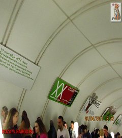 tretjakovka_274