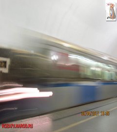 tretjakovka_286