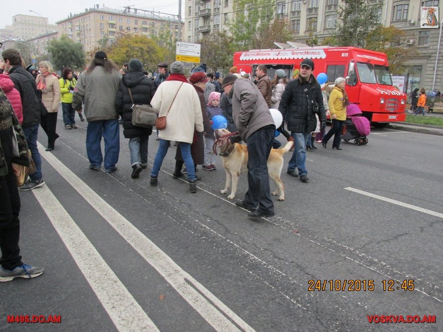 Троллейбусы