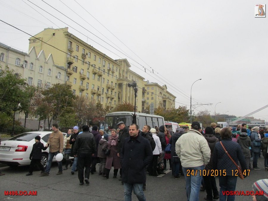 Троллейбусы
