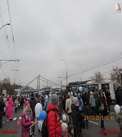 trolleibus_225