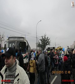 trolleibus_233