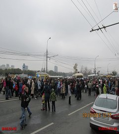 trolleibus_261