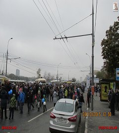 trolleibus_265