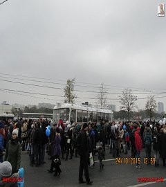 trolleibus_271