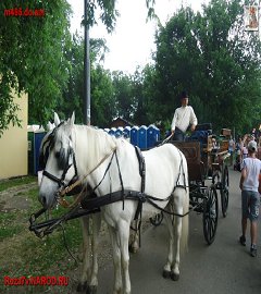 Первая мировая война_82