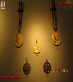Исторический музей - золото_56