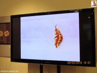 brochi_123_small.jpg