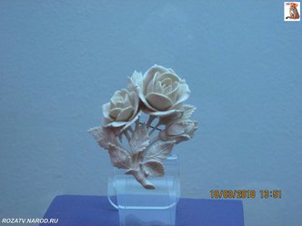 brochi_149_small.jpg
