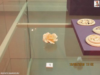 brochi_153_small.jpg