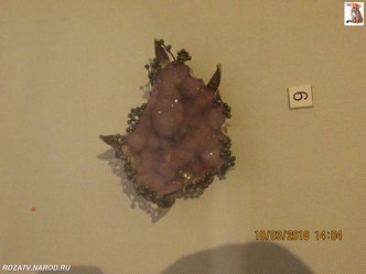 brochi_190_small.jpg