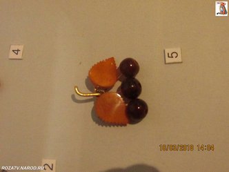 brochi_191_small.jpg