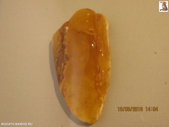brochi_193_small.jpg