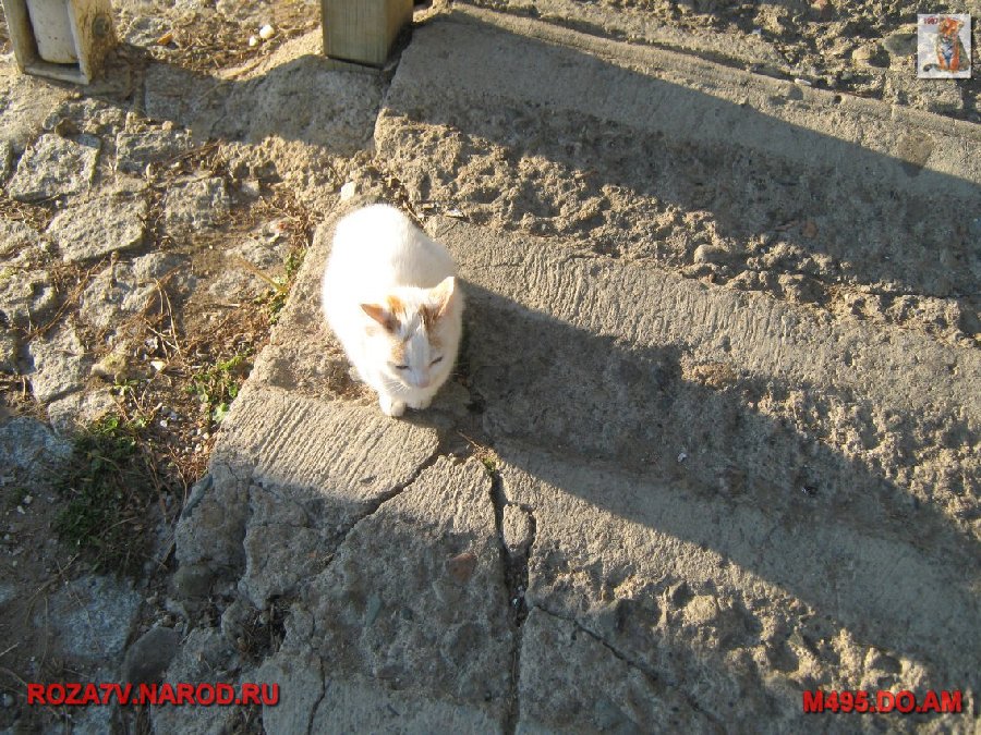 Турция